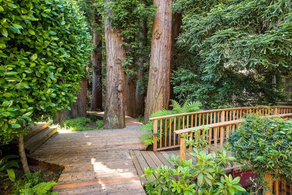 Mill Valley Inn Ngoại thất bức ảnh